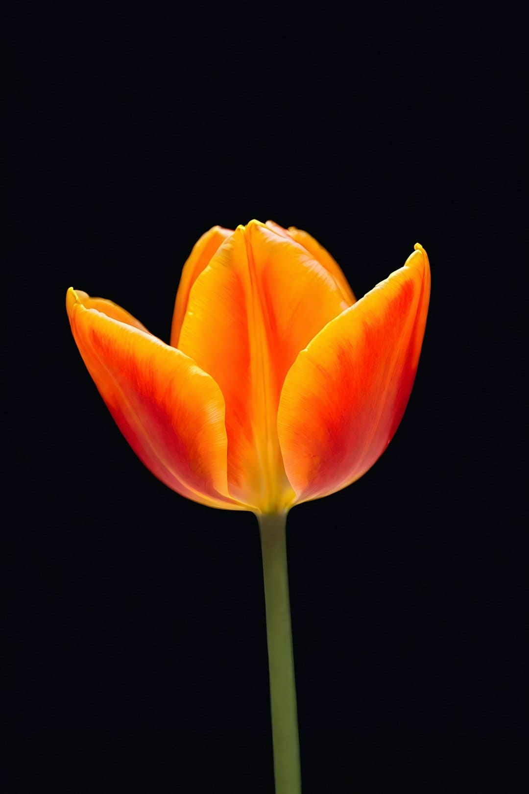https://img3.utuku.imgcdc.com/650x0/news/20250905/0d210fad-8f2b-45dc-aee8-4ccb5d38ae74.jpg